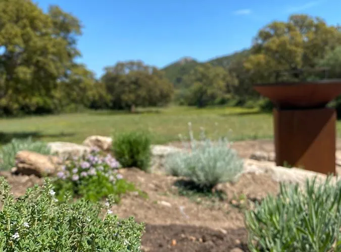 De Charme Avec Piscine